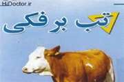 مرحله نخست واکسیناسیون فراگیردام سنگین برعلیه بیماری تب برفکی درلرستان